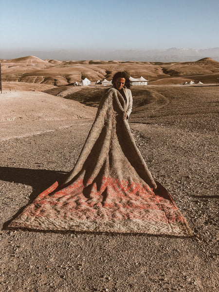 pre-sale moroccan berber rug Amour Cohen